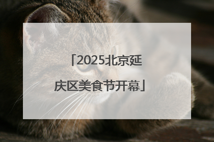 2025北京延庆区美食节开幕