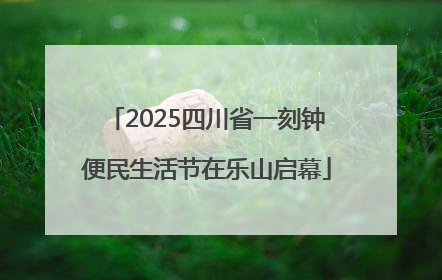 2025四川省一刻钟便民生活节在乐山启幕