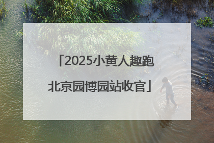 2025小黄人趣跑北京园博园站收官