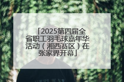 2025第四届全省职工羽毛球嘉年华活动（湘西赛区）在张家界开幕