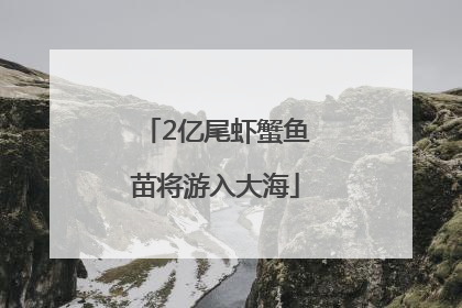 2亿尾虾蟹鱼苗将游入大海