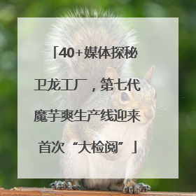 40+媒体探秘卫龙工厂，第七代魔芋爽生产线迎来首次“大检阅”