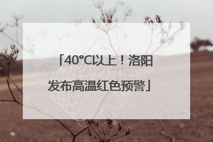 40°C以上！洛阳发布高温红色预警