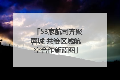 53家航司齐聚蓉城 共绘区域航空合作新蓝图