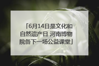 6月14日是文化和自然遗产日 河南博物院备下一场公益课堂