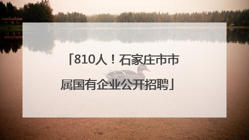 810人！石家庄市市属国有企业公开招聘