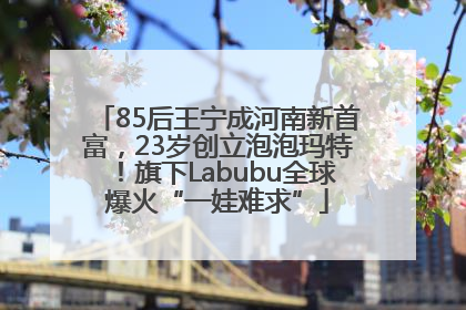 85后王宁成河南新首富，23岁创立泡泡玛特！旗下Labubu全球爆火“一娃难求”