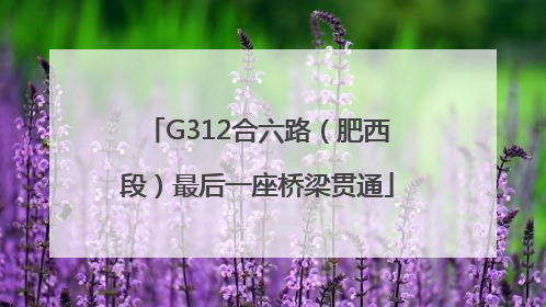 G312合六路（肥西段）最后一座桥梁贯通