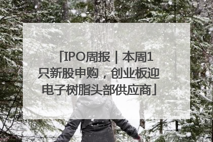 IPO周报｜本周1只新股申购，创业板迎电子树脂头部供应商