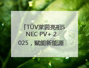 TÜV莱茵亮相SNEC PV+ 2025，赋能新能源产业高质量发展