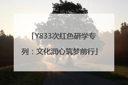 Y833次红色研学专列：文化润心筑梦前行